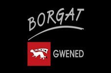 Borgat51_logo